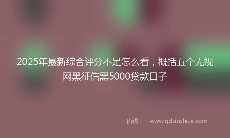 2025年最新综合评分不足怎么看，概括五个无视网黑征信黑5000贷款口子