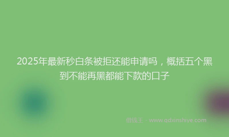 2025年最新秒白条被拒还能申请吗，概括五个黑到不能再黑都能下款的口子