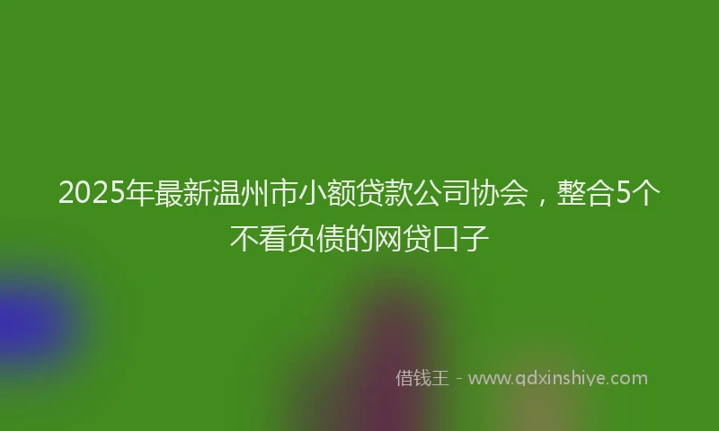 2025年最新温州市小额贷款公司协会，整合5个不看负债的网贷口子