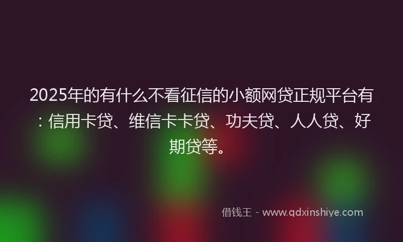 2025年的有什么不看征信的小额网贷正规平台有：信用卡贷、维信卡卡贷、功夫贷、人人贷、好期贷等。