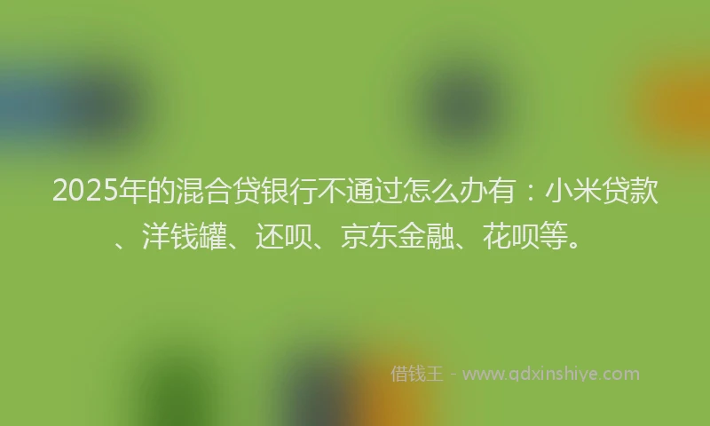 2025年的混合贷银行不通过怎么办有：小米贷款、洋钱罐、还呗、京东金融、花呗等。