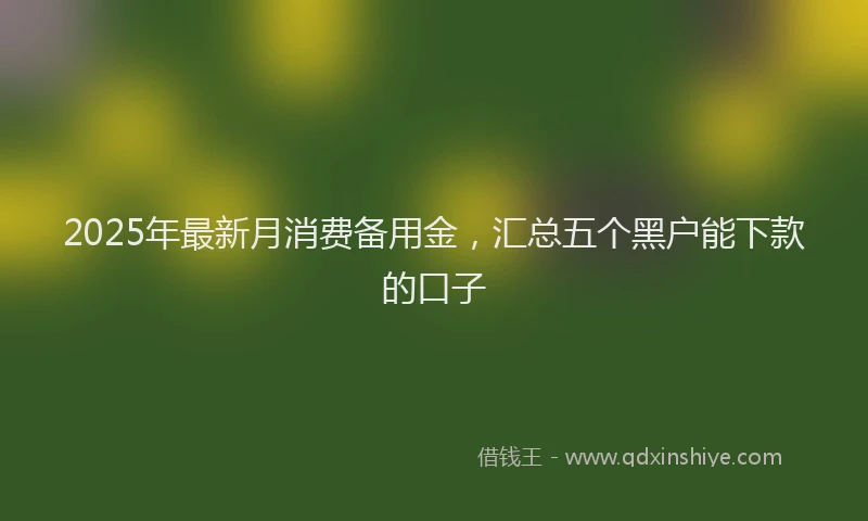 2025年最新月消费备用金，汇总五个黑户能下款的口子