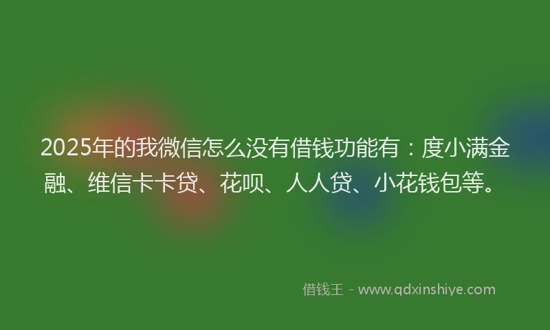 2025年的我微信怎么没有借钱功能有：度小满金融、维信卡卡贷、花呗、人人贷、小花钱包等。