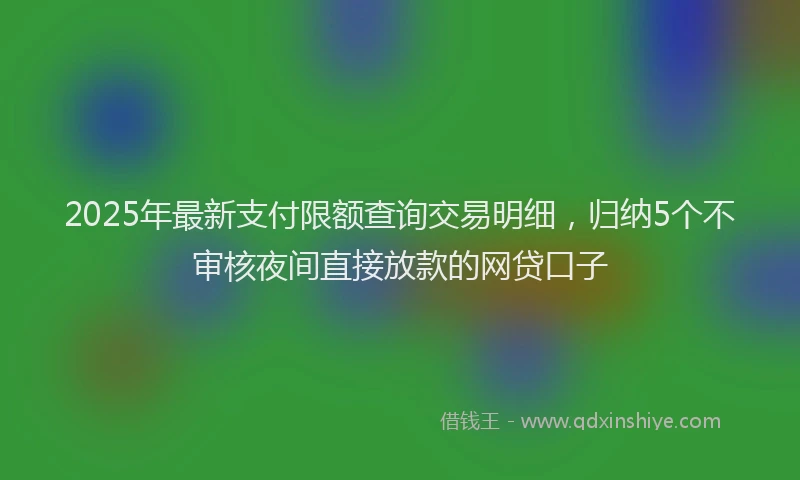 2025年最新支付限额查询交易明细，归纳5个不审核夜间直接放款的网贷口子