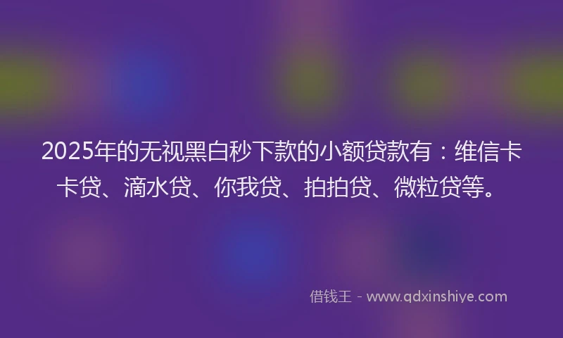 2025年的无视黑白秒下款的小额贷款有：维信卡卡贷、滴水贷、你我贷、拍拍贷、微粒贷等。