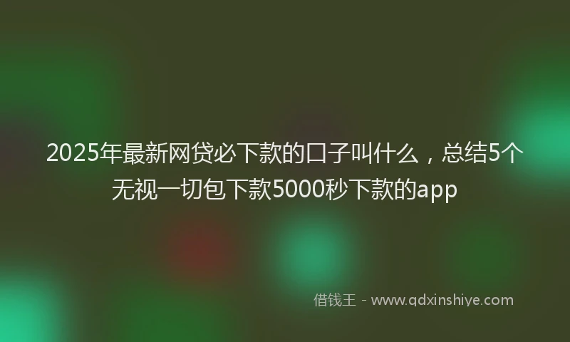 2025年最新网贷必下款的口子叫什么，总结5个无视一切包下款5000秒下款的app