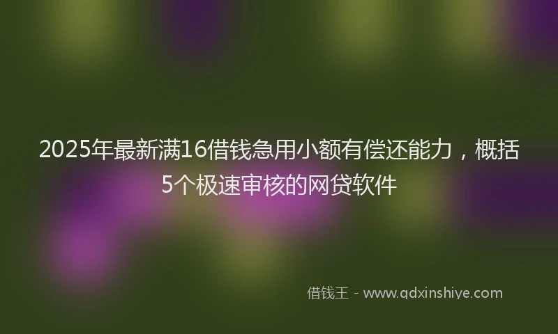 2025年最新满16借钱急用小额有偿还能力，概括5个极速审核的网贷软件