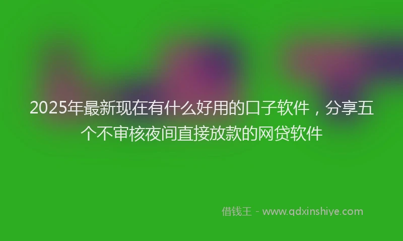 2025年最新现在有什么好用的口子软件，分享五个不审核夜间直接放款的网贷软件