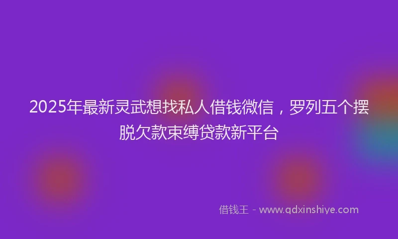 2025年最新灵武想找私人借钱微信，罗列五个摆脱欠款束缚贷款新平台