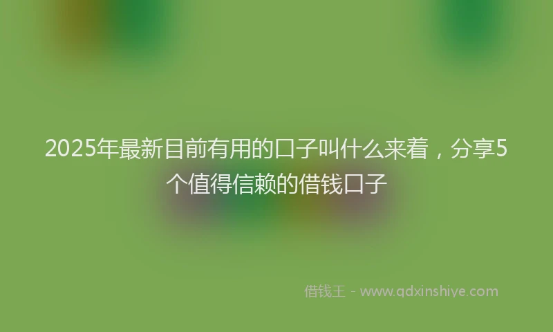 2025年最新目前有用的口子叫什么来着，分享5个值得信赖的借钱口子