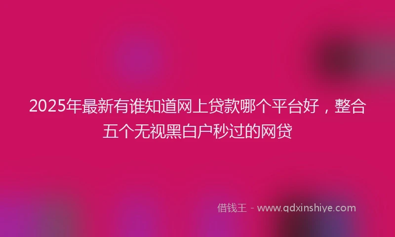 2025年最新有谁知道网上贷款哪个平台好，整合五个无视黑白户秒过的网贷
