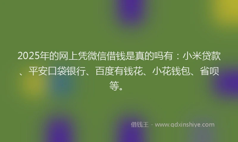 2025年的网上凭微信借钱是真的吗有：小米贷款、平安口袋银行、百度有钱花、小花钱包、省呗等。