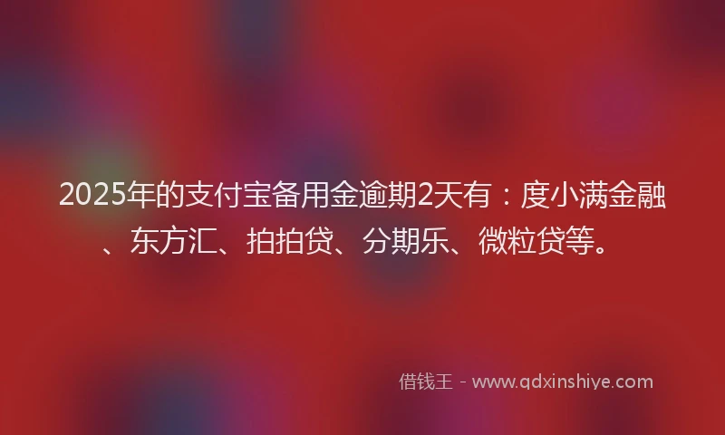 2025年的支付宝备用金逾期2天有：度小满金融、东方汇、拍拍贷、分期乐、微粒贷等。