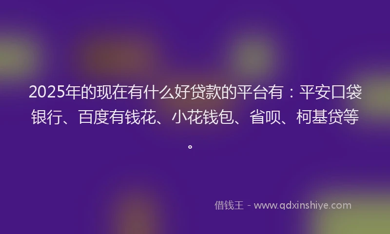 2025年的现在有什么好贷款的平台有：平安口袋银行、百度有钱花、小花钱包、省呗、柯基贷等。