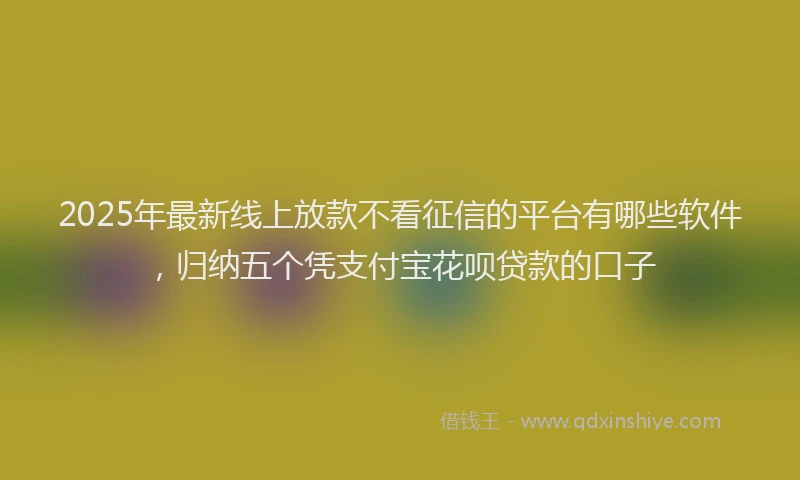 2025年最新线上放款不看征信的平台有哪些软件，归纳五个凭支付宝花呗贷款的口子
