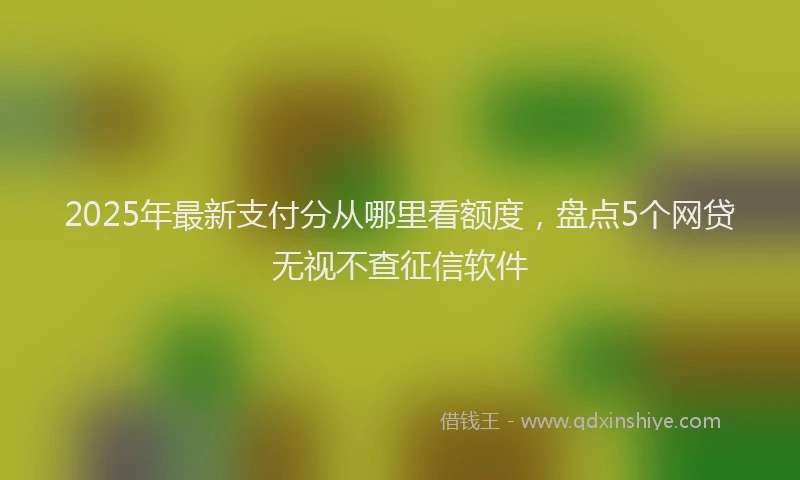 2025年最新支付分从哪里看额度，盘点5个网贷无视不查征信软件