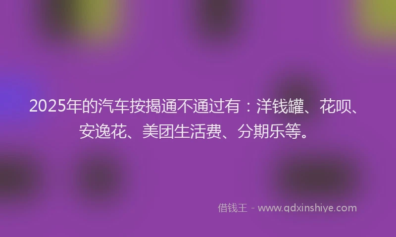 2025年的汽车按揭通不通过有：洋钱罐、花呗、安逸花、美团生活费、分期乐等。
