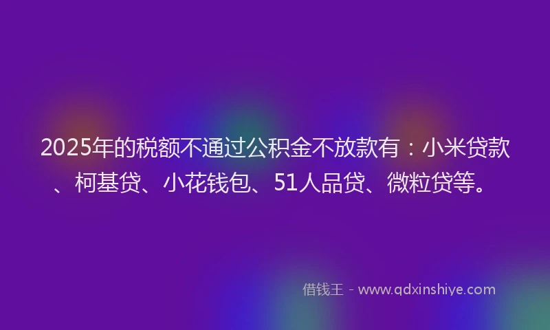 2025年的税额不通过公积金不放款有：小米贷款、柯基贷、小花钱包、51人品贷、微粒贷等。