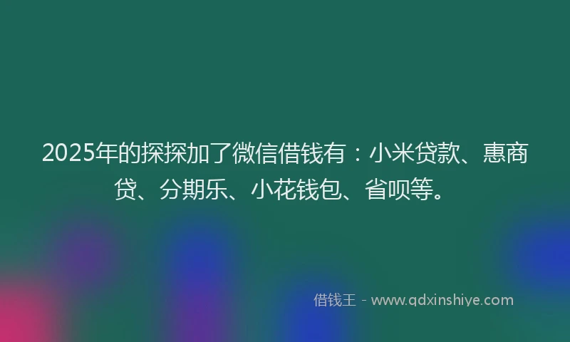 2025年的探探加了微信借钱有：小米贷款、惠商贷、分期乐、小花钱包、省呗等。