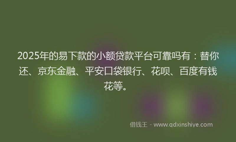 2025年的易下款的小额贷款平台可靠吗有：替你还、京东金融、平安口袋银行、花呗、百度有钱花等。
