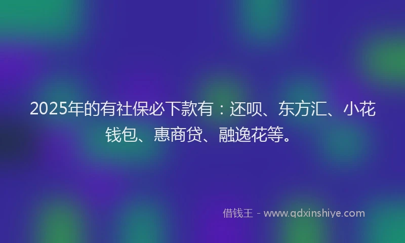 2025年的有社保必下款有：还呗、东方汇、小花钱包、惠商贷、融逸花等。