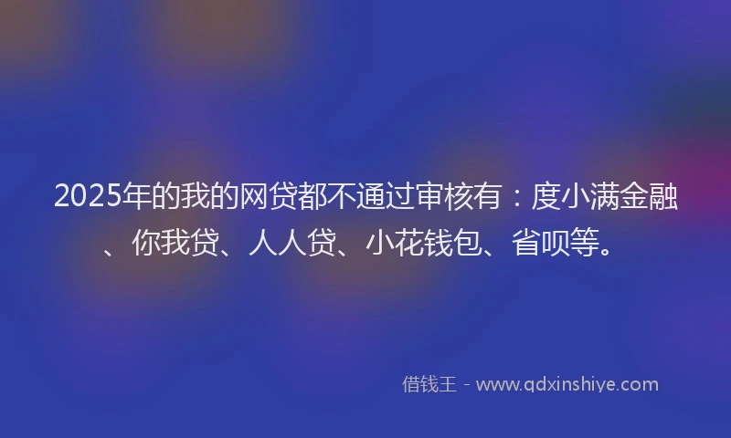 2025年的我的网贷都不通过审核有：度小满金融、你我贷、人人贷、小花钱包、省呗等。
