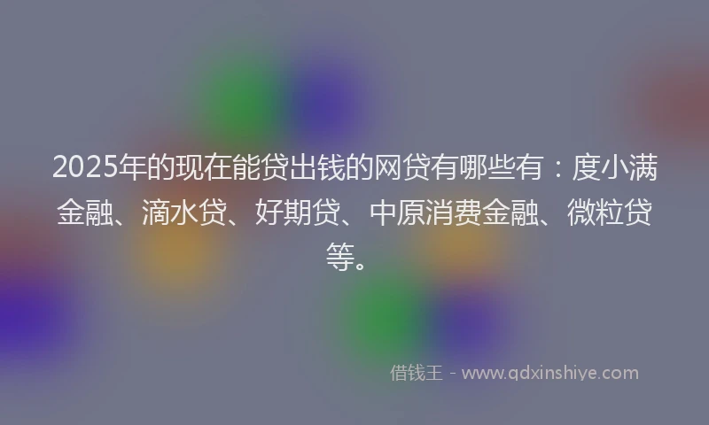 2025年的现在能贷出钱的网贷有哪些有：度小满金融、滴水贷、好期贷、中原消费金融、微粒贷等。