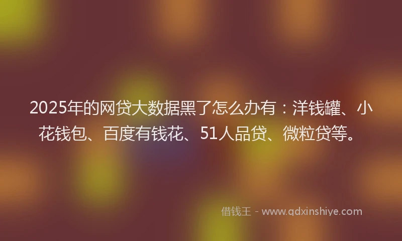 2025年的网贷大数据黑了怎么办有：洋钱罐、小花钱包、百度有钱花、51人品贷、微粒贷等。