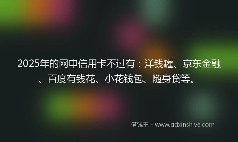 2025年的网申信用卡不过有：洋钱罐、京东金融、百度有钱花、小花钱包、随身贷等。