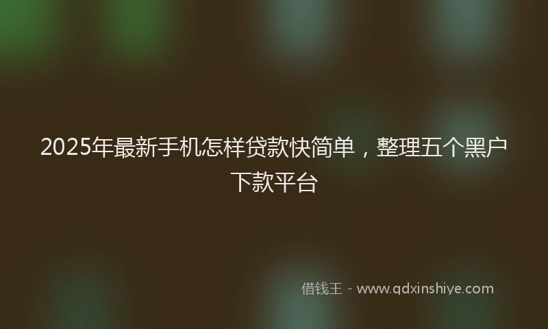 2025年最新手机怎样贷款快简单，整理五个黑户下款平台