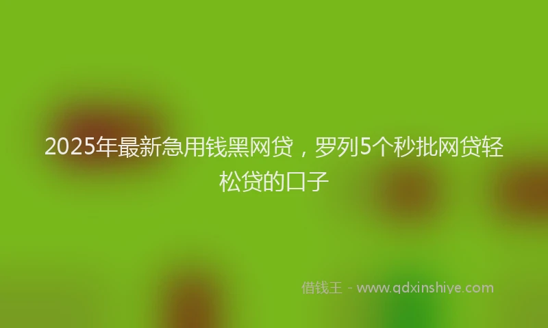 2025年最新急用钱黑网贷，罗列5个秒批网贷轻松贷的口子