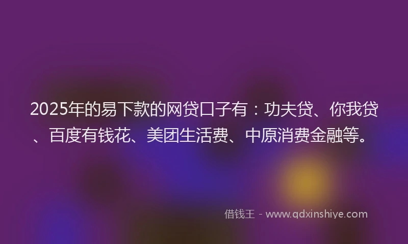 2025年的易下款的网贷口子有：功夫贷、你我贷、百度有钱花、美团生活费、中原消费金融等。