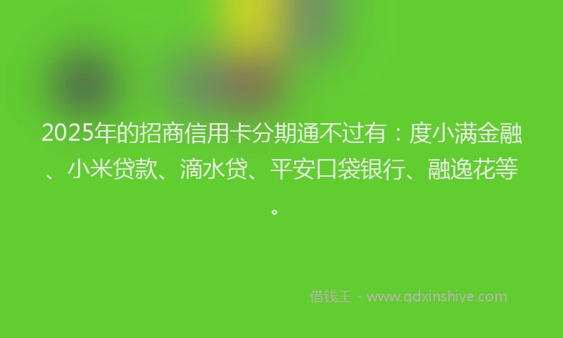 2025年的招商信用卡分期通不过有：度小满金融、小米贷款、滴水贷、平安口袋银行、融逸花等。
