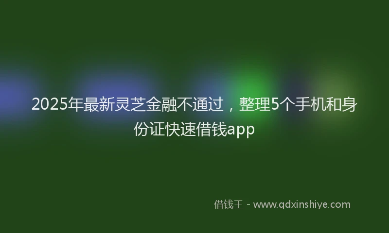 2025年最新灵芝金融不通过，整理5个手机和身份证快速借钱app
