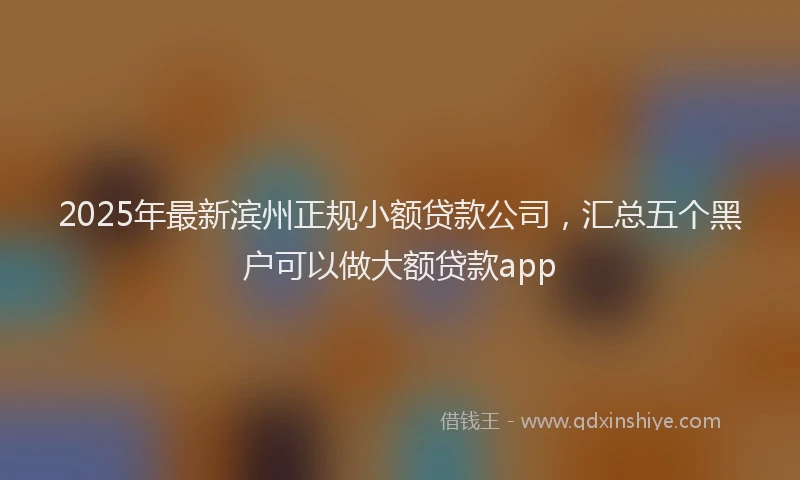 2025年最新滨州正规小额贷款公司，汇总五个黑户可以做大额贷款app