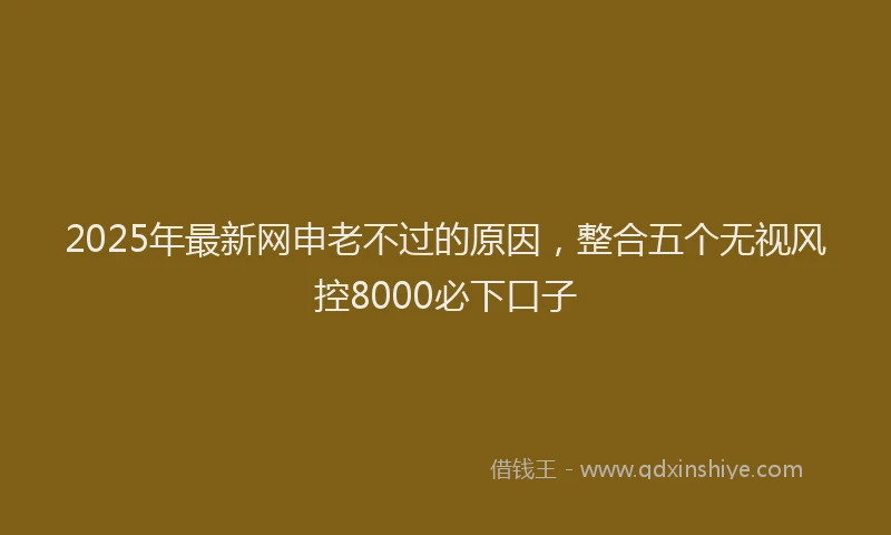2025年最新网申老不过的原因,整合五个无视风控8000必下口子