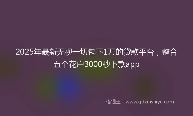2025年最新无视一切包下1万的贷款平台，整合五个花户3000秒下款app