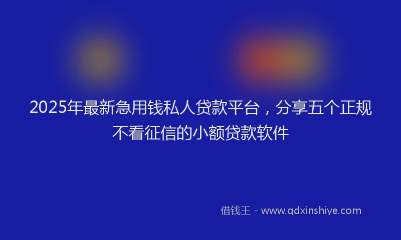 2025年最新急用钱私人贷款平台，分享五个正规不看征信的小额贷款软件