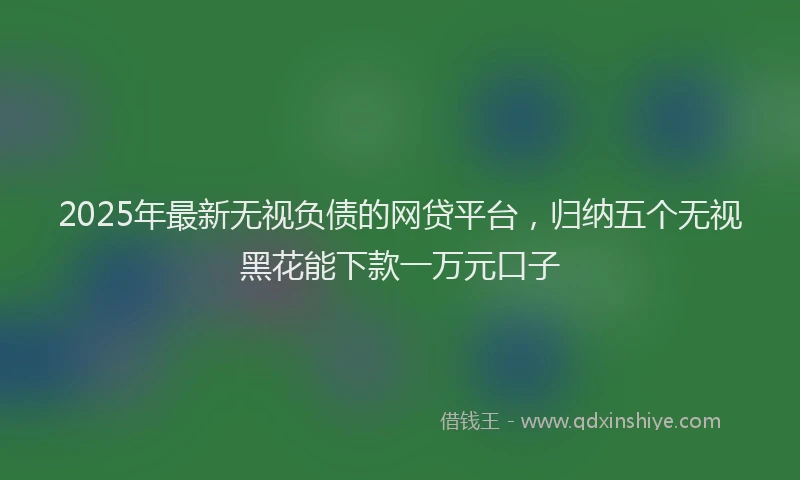 2025年最新无视负债的网贷平台，归纳五个无视黑花能下款一万元口子
