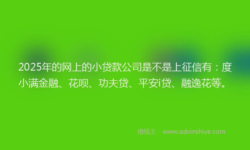 2025年的网上的小贷款公司是不是上征信有：度小满金融、花呗、功夫贷、平安i贷、融逸花等。