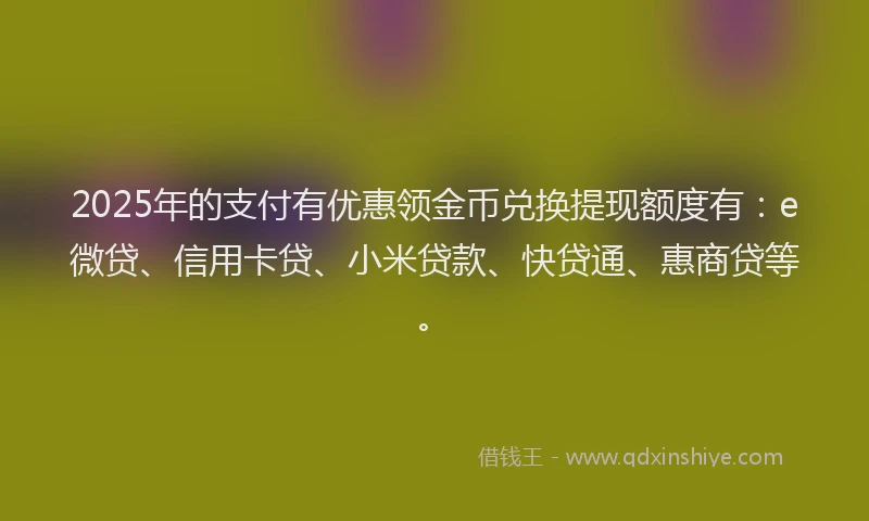 2025年的支付有优惠领金币兑换提现额度有：e微贷、信用卡贷、小米贷款、快贷通、惠商贷等。
