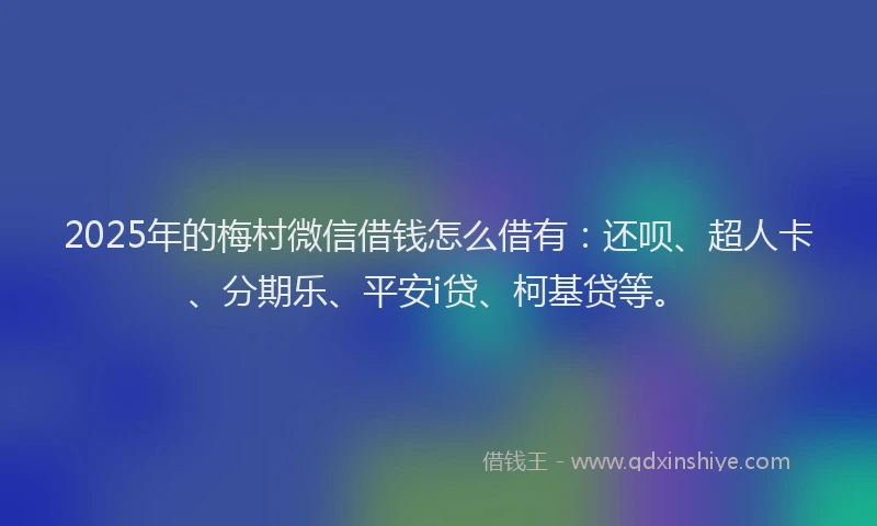 2025年的梅村微信借钱怎么借有：还呗、超人卡、分期乐、平安i贷、柯基贷等。