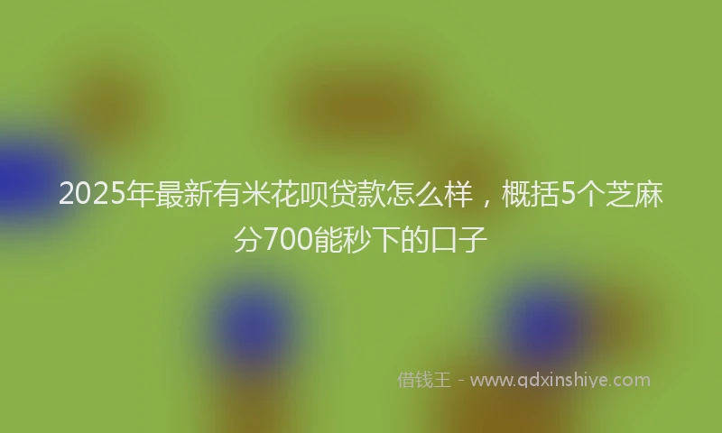2025年最新有米花呗贷款怎么样，概括5个芝麻分700能秒下的口子