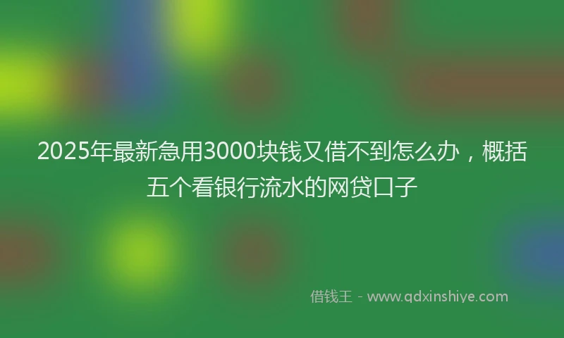 2025年最新急用3000块钱又借不到怎么办，概括五个看银行流水的网贷口子