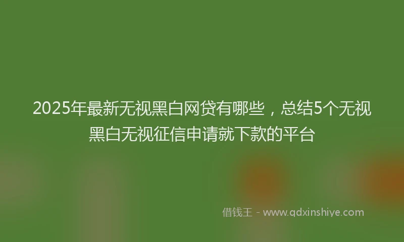 2025年最新无视黑白网贷有哪些，总结5个无视黑白无视征信申请就下款的平台