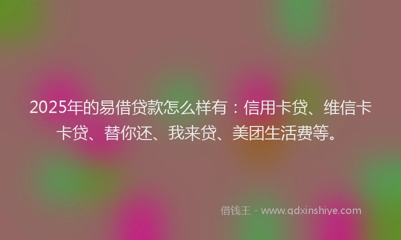 2025年的易借贷款怎么样有：信用卡贷、维信卡卡贷、替你还、我来贷、美团生活费等。