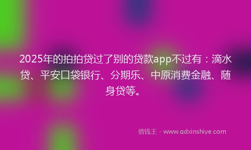 2025年的拍拍贷过了别的贷款app不过有：滴水贷、平安口袋银行、分期乐、中原消费金融、随身贷等。