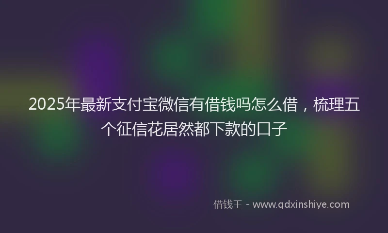 2025年最新支付宝微信有借钱吗怎么借，梳理五个征信花居然都下款的口子