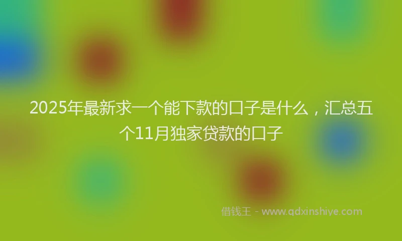 2025年最新求一个能下款的口子是什么，汇总五个11月独家贷款的口子