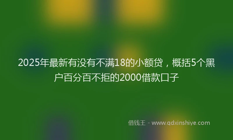 2025年最新有没有不满18的小额贷，概括5个黑户百分百不拒的2000借款口子